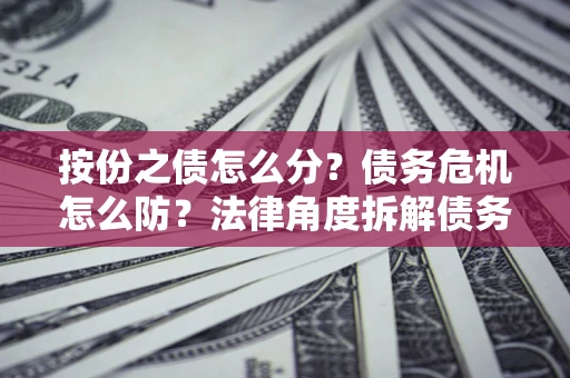 武汉按份之债怎么分？债务危机怎么防？法律角度拆解债务分配与风险自保指南