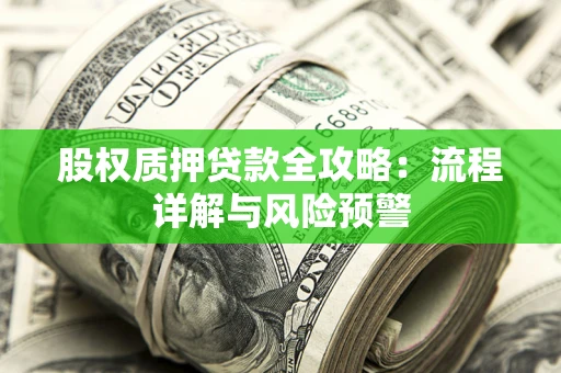 武汉股权质押贷款全攻略：流程详解与风险预警