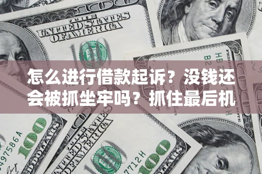 武汉怎么进行借款起诉？没钱还会被抓坐牢吗？抓住最后机会！