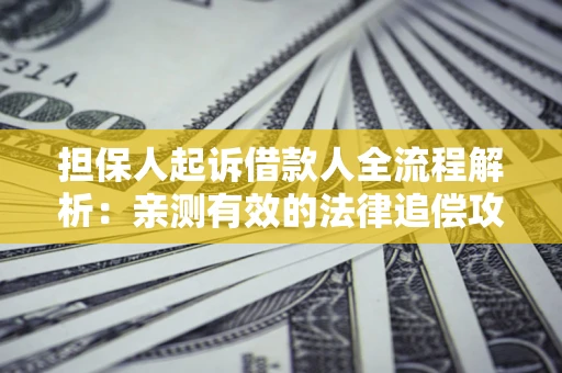 武汉担保人起诉借款人全流程解析：亲测有效的法律追偿攻略