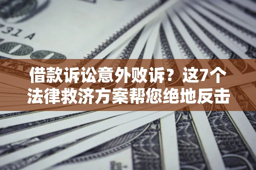 武汉借款诉讼意外败诉？这7个法律救济方案帮您绝地反击！