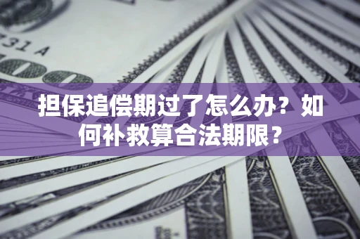 武汉担保追偿期过了怎么办？如何补救算合法期限？