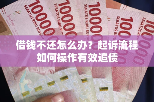 武汉借钱不还怎么办？起诉流程如何操作有效追债