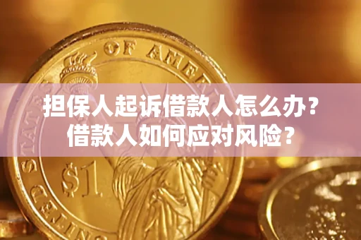武汉担保人起诉借款人怎么办？借款人如何应对风险？