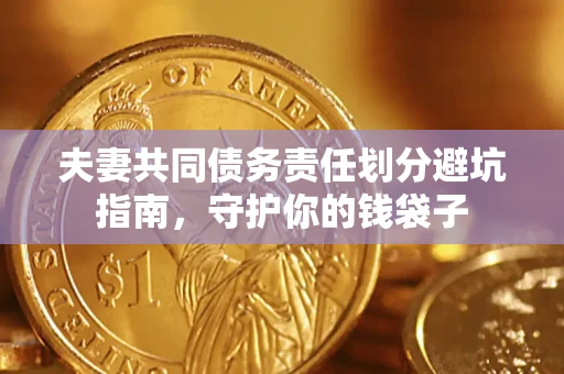 武汉夫妻共同债务责任划分避坑指南，守护你的钱袋子