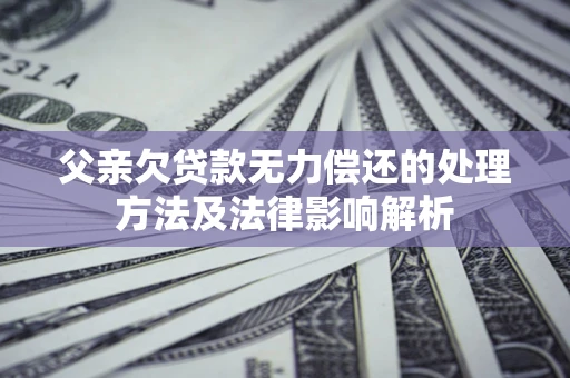 武汉父亲欠贷款无力偿还的处理方法及法律影响解析